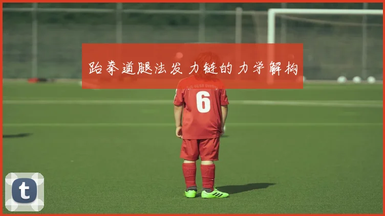 跆拳道腿法发力链的力学解构