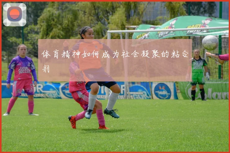 体育精神如何成为社会凝聚的粘合剂