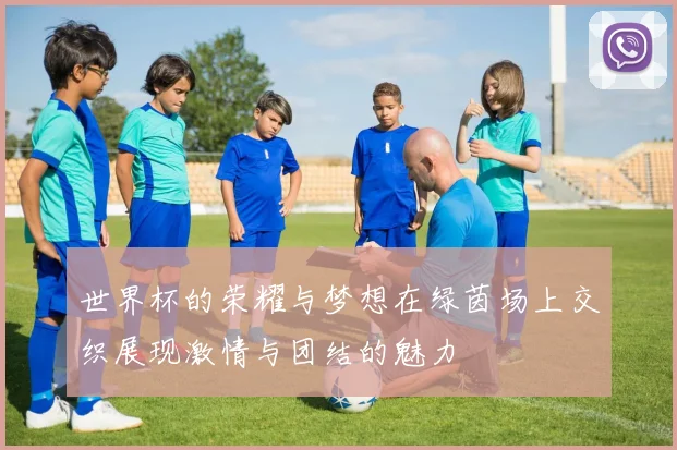 世界杯的荣耀与梦想在绿茵场上交织展现激情与团结的魅力